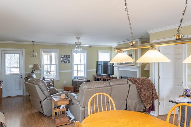 living area with ceiling fan, a fireplace, ornamental molding, and wood finished floors