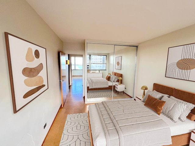 5532 S Shore Dr Unit 6E, Chicago, IL 60637 - bedroom with light carpet and a closet