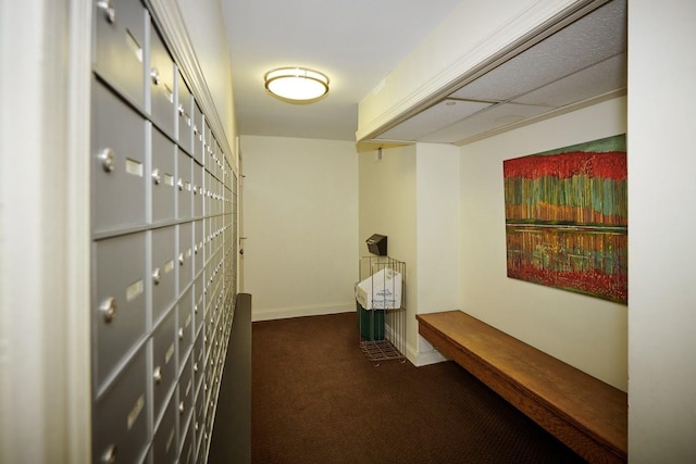 interior space featuring mail area, baseboards, and carpet flooring