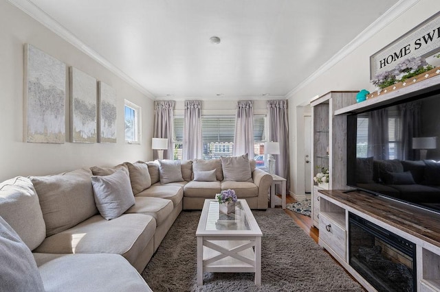 living room featuring ornamental molding and wood finished floors