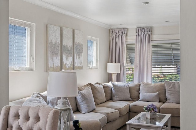 living room featuring ornamental molding and a wealth of natural light