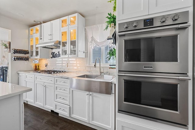 kitchen with backsplash, stainless steel appliances, under cabinet range hood, white cabinetry, and a sink