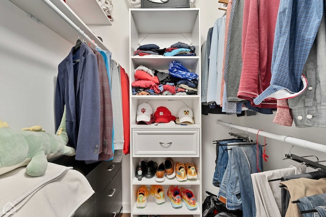 view of spacious closet