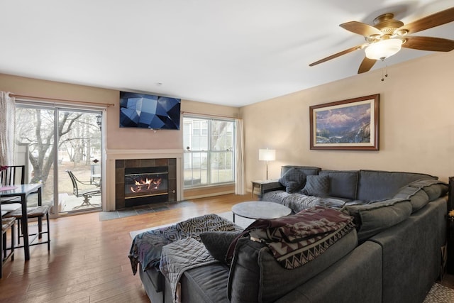 living room featuring ceiling fan, wood finished floors, and a tile fireplace