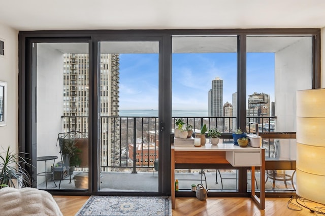 doorway featuring floor to ceiling windows, a city view, and wood finished floors