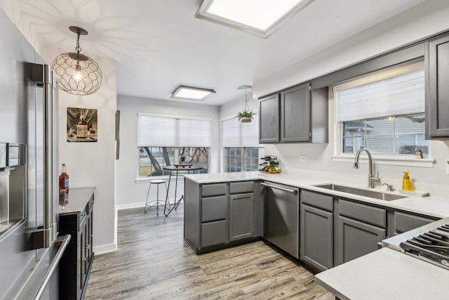 kitchen with light wood finished floors, gray cabinets, stainless steel appliances, light countertops, and a sink