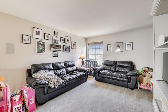 living room featuring carpet