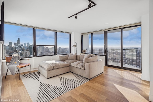 living area featuring a wealth of natural light, baseboards, wood finished floors, and rail lighting