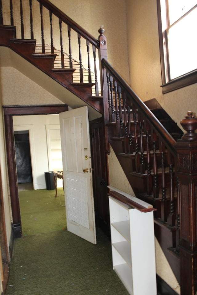 stairs with carpet floors