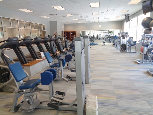 gym featuring a drop ceiling, carpet floors, and visible vents