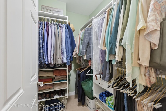 view of spacious closet