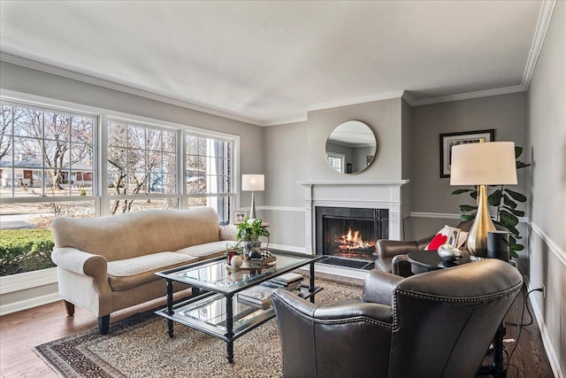 living room featuring baseboards, wood finished floors, a fireplace, and ornamental molding