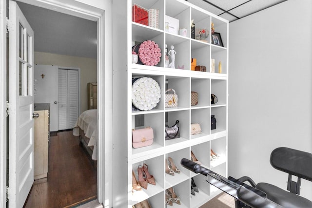 interior space with wood finished floors
