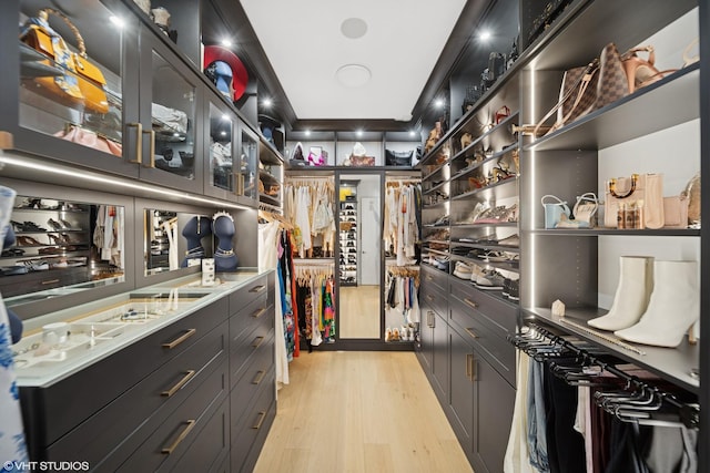 walk in closet featuring light wood-style flooring