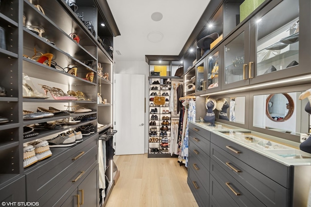 walk in closet with light wood-type flooring