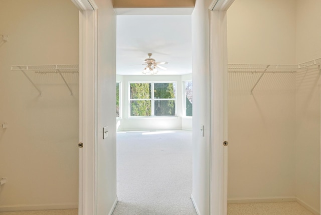 spacious closet with ceiling fan and carpet flooring