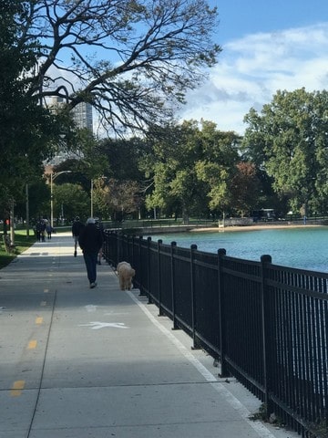 view of property's community featuring a water view and fence