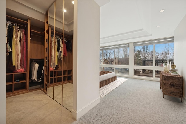 walk in closet with carpet floors