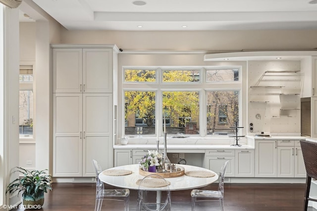 interior space with light countertops and dark wood-style flooring