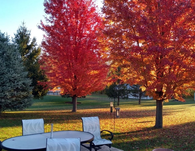 view of property's community with outdoor dining area and a yard