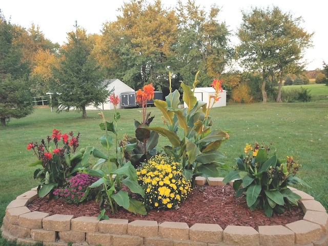 view of yard with an outbuilding