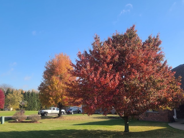 view of property's community with a lawn