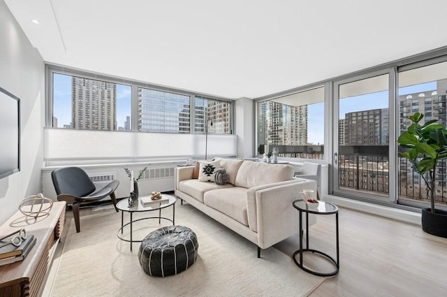 living area featuring a healthy amount of sunlight, radiator heating unit, a city view, and wood finished floors