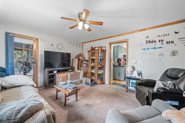 living area featuring carpet floors, a ceiling fan, and crown molding