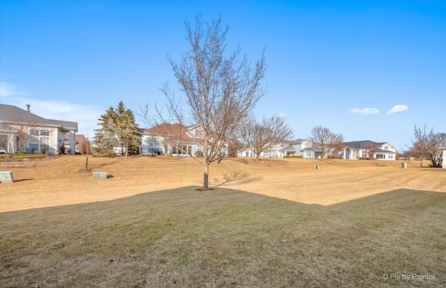 view of yard featuring a residential view