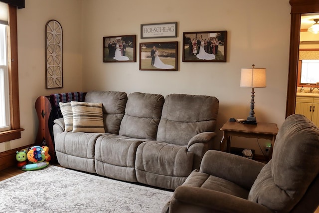 living room featuring wood finished floors