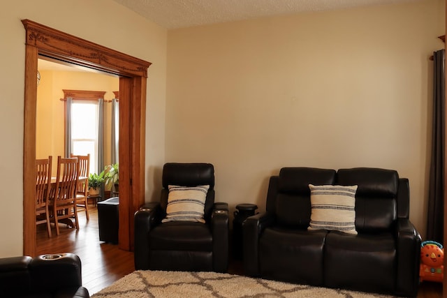 cinema room featuring wood finished floors