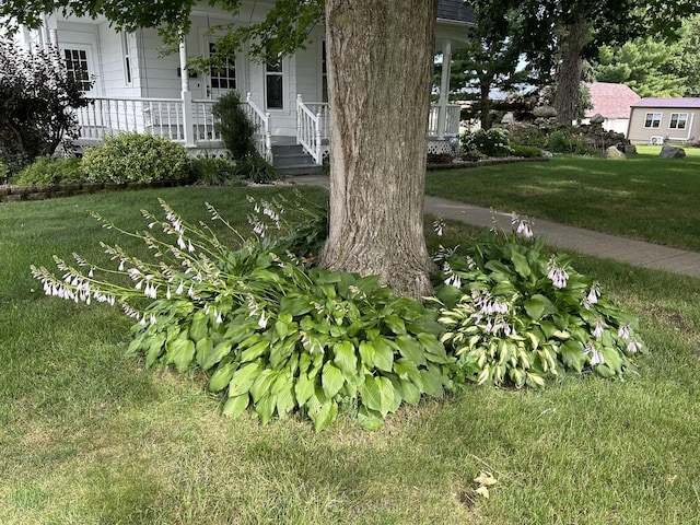 view of yard featuring a porch