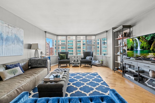 living area featuring wood finished floors