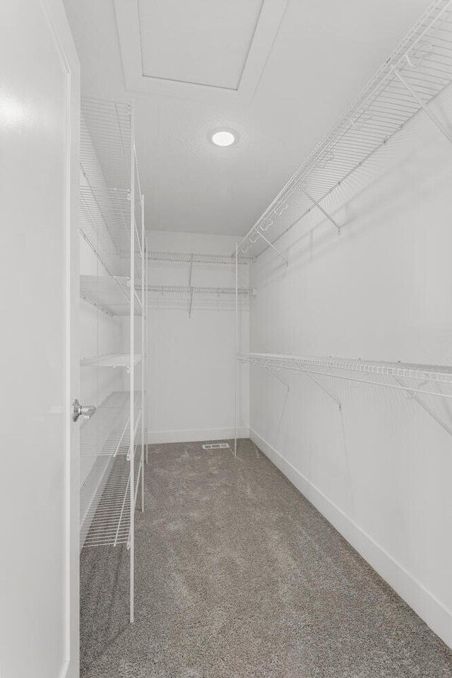 spacious closet featuring carpet and attic access