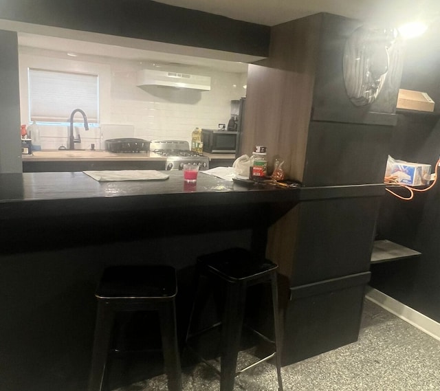 kitchen with baseboards, stove, stainless steel microwave, under cabinet range hood, and a sink