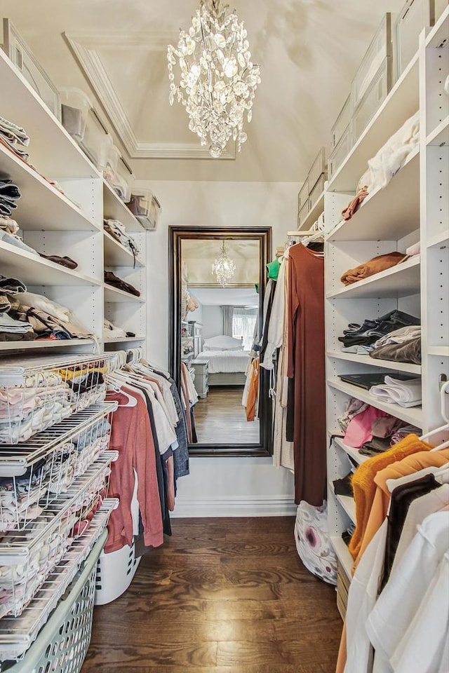 walk in closet featuring dark wood-style flooring and a notable chandelier