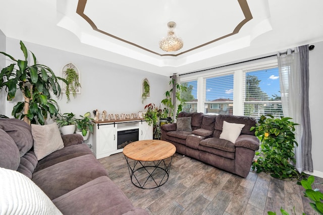 living area featuring a fireplace, a tray ceiling, and wood finished floors