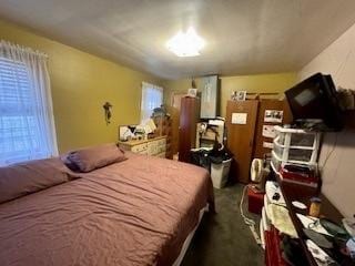 bedroom with multiple windows and dark carpet