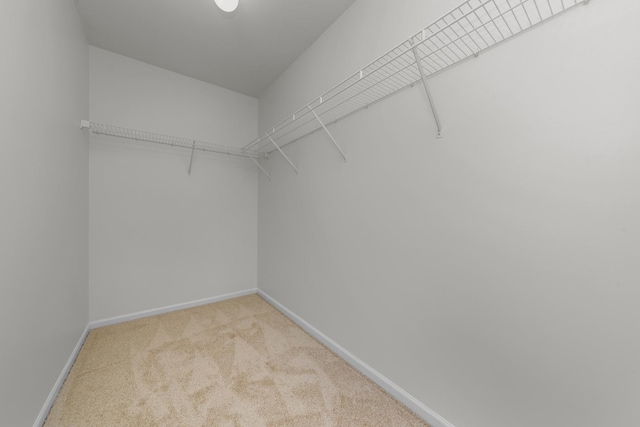 walk in closet featuring carpet