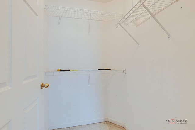 view of spacious closet