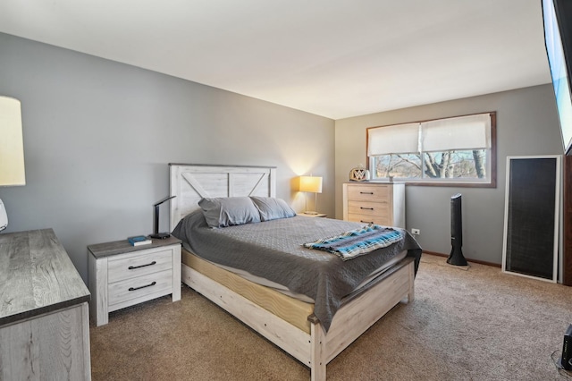 bedroom with carpet floors