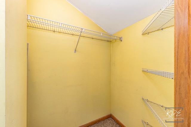 spacious closet with vaulted ceiling