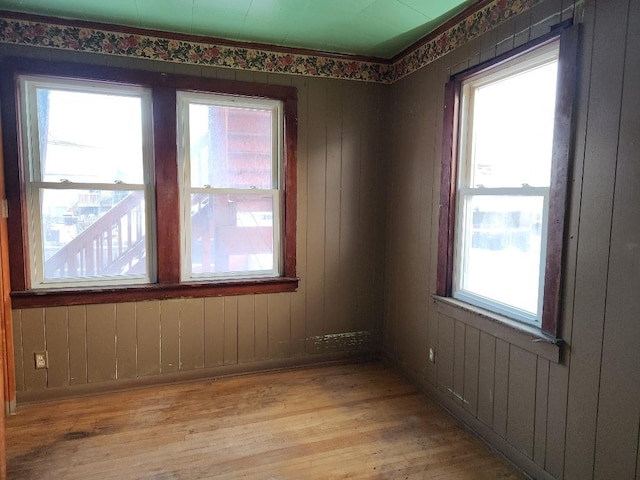 spare room with light wood finished floors and a wealth of natural light