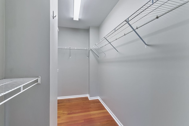 spacious closet featuring wood finished floors