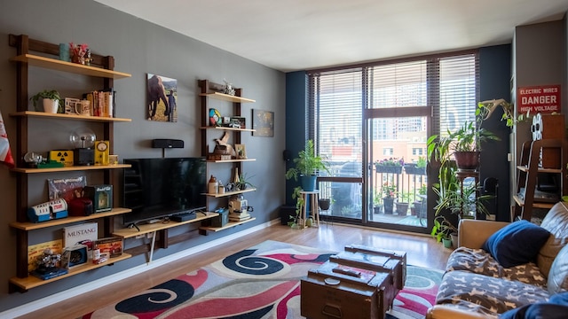 living room with a wall of windows and wood finished floors