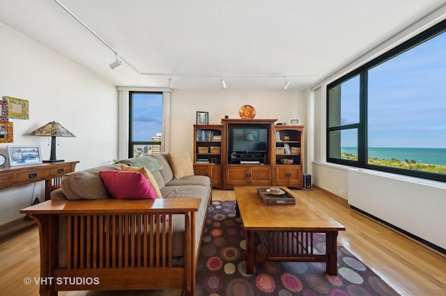 living room with light wood-style floors, plenty of natural light, and track lighting