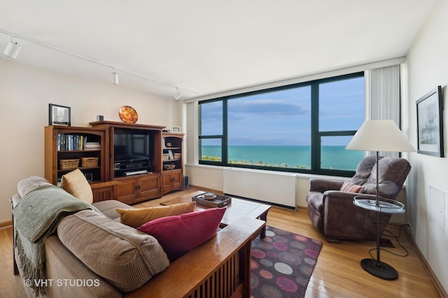 living room featuring rail lighting, light wood-style flooring, and baseboards