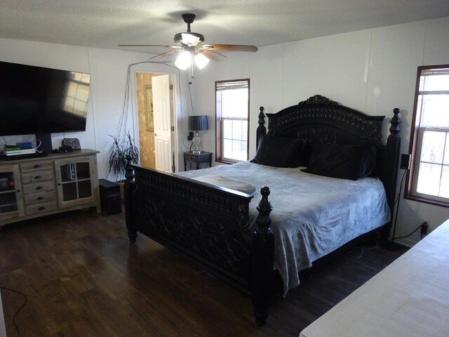 bedroom with multiple windows, ceiling fan, and wood finished floors