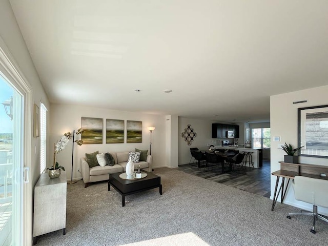 living area with carpet floors