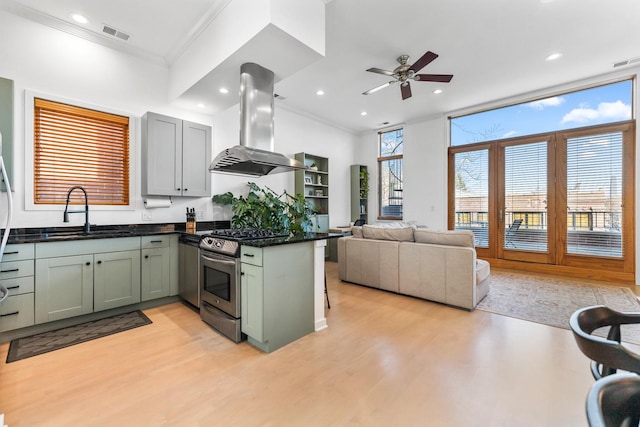 kitchen with light wood finished floors, island range hood, appliances with stainless steel finishes, ornamental molding, and a sink